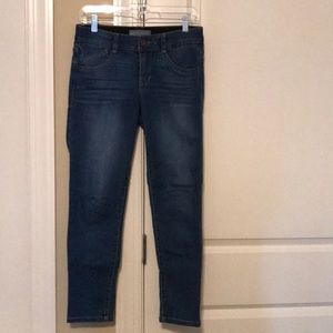 Wit & Wisdom Cropped/Ankle Skinny Jean